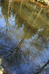 Similar image 7972139