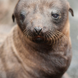 Similar image 7972145