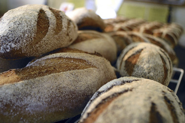 Similar image 7972167