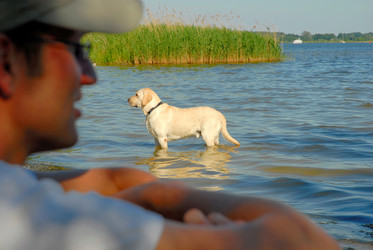 Similar image 7972179