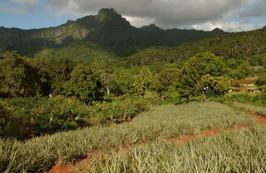 Similar image 7972181