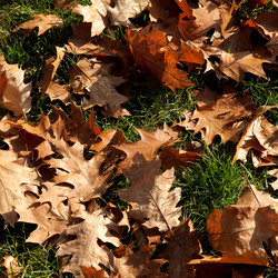 Similar image 7972183