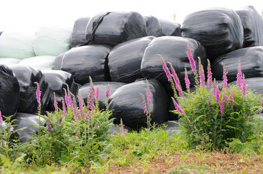 Similar image 7972185