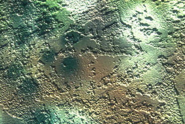 Similar image 7972194