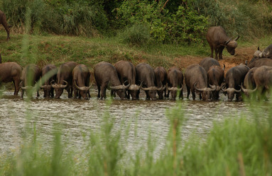 Similar image 7972196