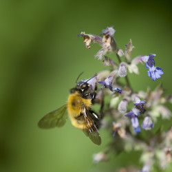 Similar image 7972200