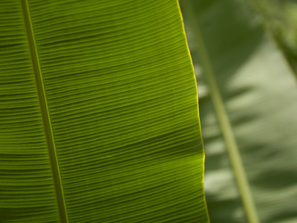 Similar image 7972203