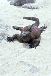 Similar image 7972207