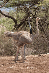 Similar image 7972211