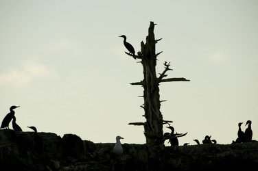 Similar image 7972228