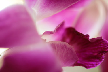 Similar image 7972230