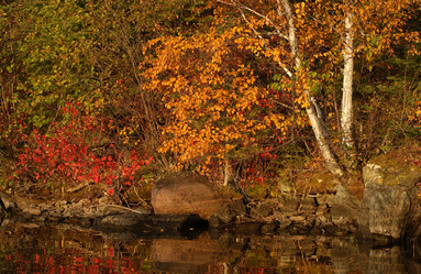 Similar image 7972234