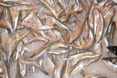 Similar image 7972235