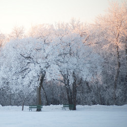 Similar image 7972236