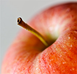 Similar image 7972240