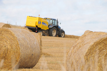 Similar image 7972249