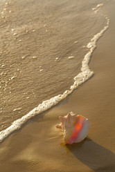 Similar image 7972251