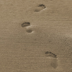 Similar image 7972256