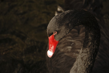 Similar image 7972311