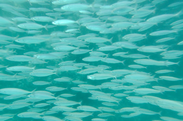 Similar image 7972313