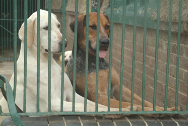 Similar image 7972314