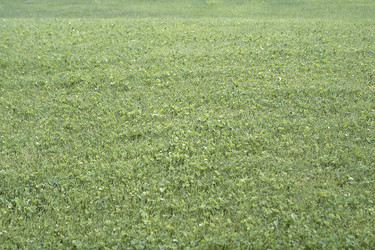 Similar image 7972316