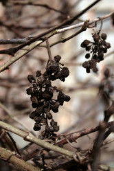 Similar image 7972331