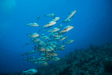 Similar image 7972333