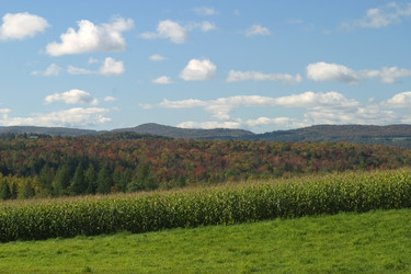 Similar image 7972334