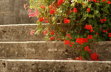 Similar image 7972336