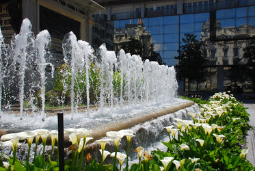 Similar image 7972350