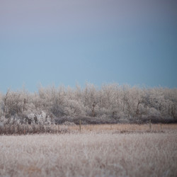 Similar image 7972358