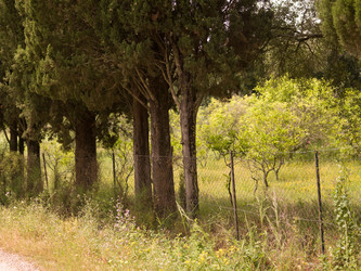 Similar image 7972362