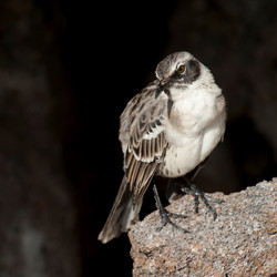 Similar image 7972363