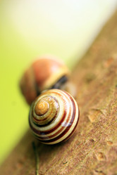 Similar image 7972366