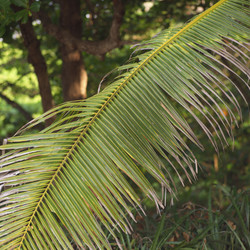 Similar image 7972365