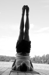 Similar image 7972373