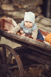 Similar image 7972406