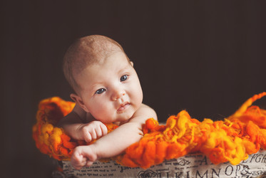 Similar image 7972429