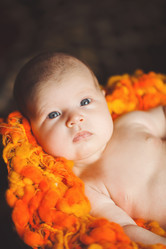 Similar image 7972431