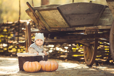 Similar image 7972441