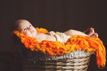 Similar image 7972476