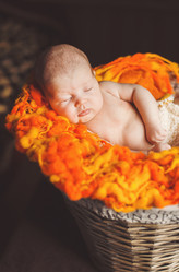 Similar image 7972477