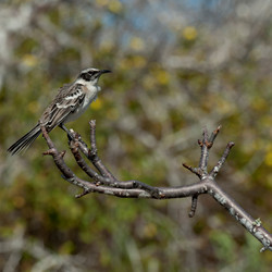 Similar image 7972488