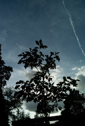 Similar image 7972489