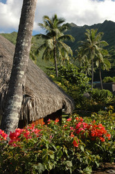 Similar image 7972491