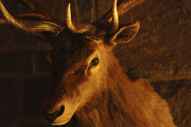 Similar image 7972500