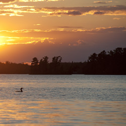 Similar image 7972514