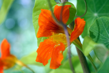 Similar image 7972518