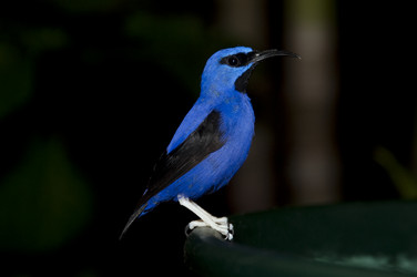 Similar image 7972519